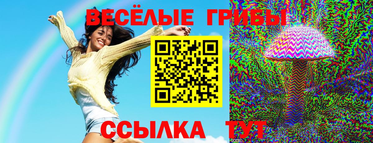 Галлюциногенные грибы мухоморы Черногорск